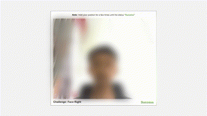 Project Preview Image